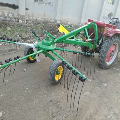 Professional factory manufacture rotary hay tedder rake